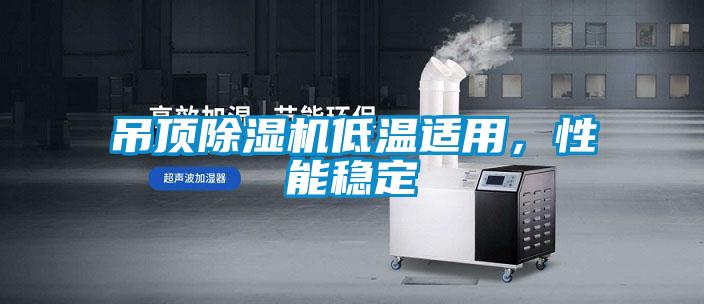 吊頂除濕機低溫適用，性能穩(wěn)定