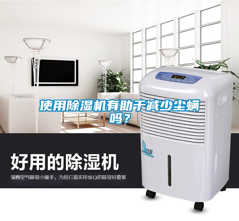 使用除濕機有助于減少塵螨嗎？