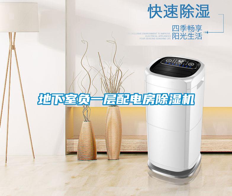 地下室負(fù)一層配電房除濕機