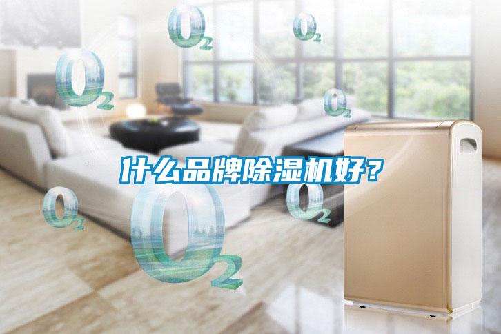 什么品牌除濕機(jī)好？