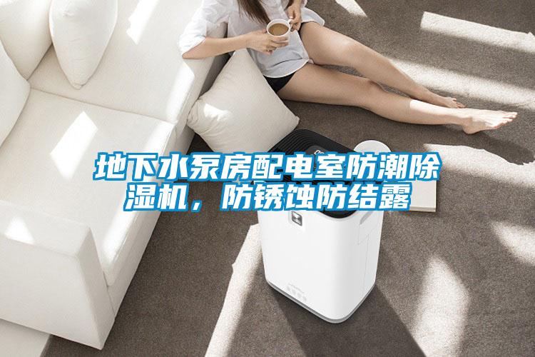 地下水泵房配電室防潮除濕機(jī)，防銹蝕防結(jié)露