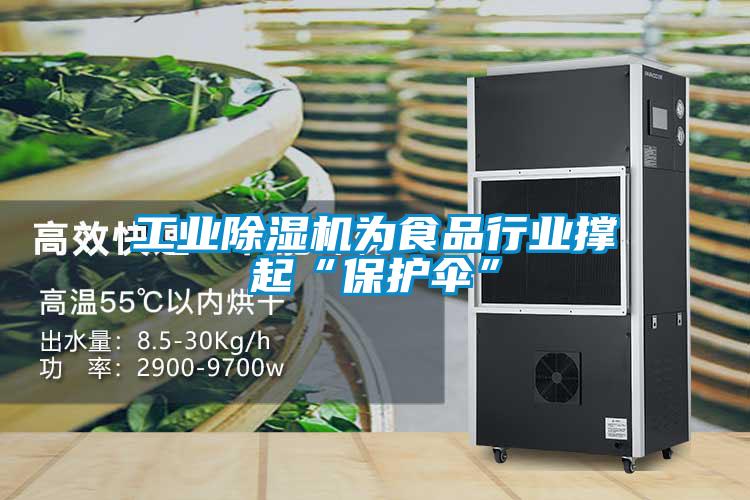 工業(yè)除濕機(jī)為食品行業(yè)撐起“保護(hù)傘”
