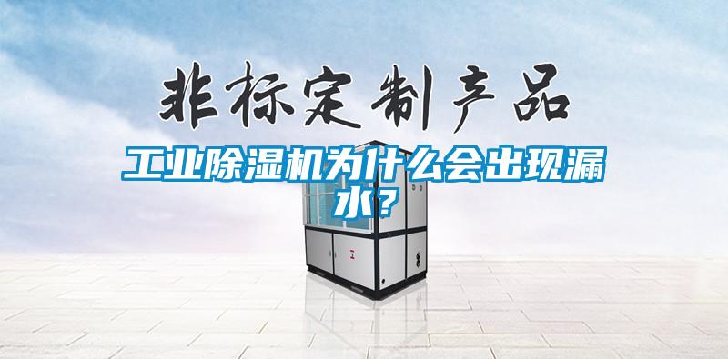 工業(yè)除濕機(jī)為什么會出現(xiàn)漏水？