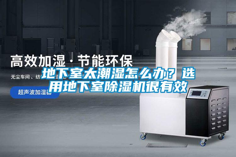 地下室太潮濕怎么辦？選用地下室除濕機(jī)很有效