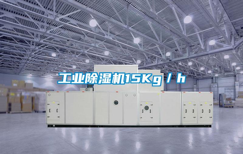 工業(yè)除濕機(jī)15Kg／h