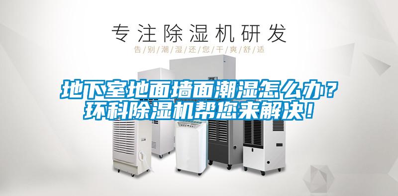 地下室地面墻面潮濕怎么辦?環(huán)科除濕機(jī)幫您來解決!