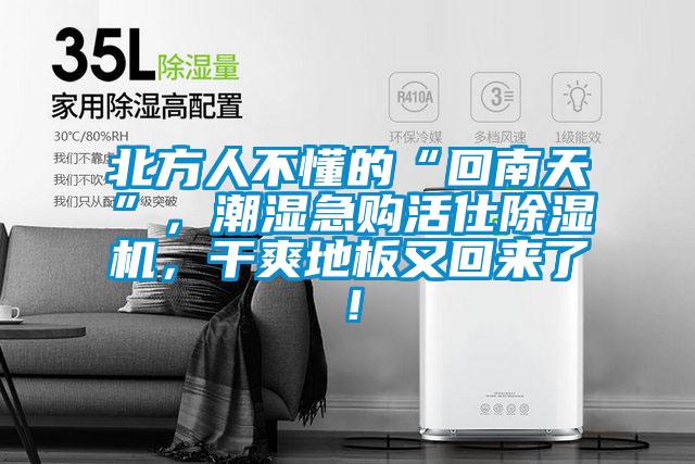 北方人不懂的“回南天”，潮濕急購活仕除濕機，干爽地板又回來了！