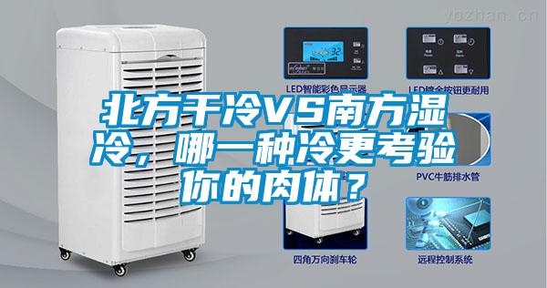 北方干冷VS南方濕冷，哪一種冷更考驗你的肉體？