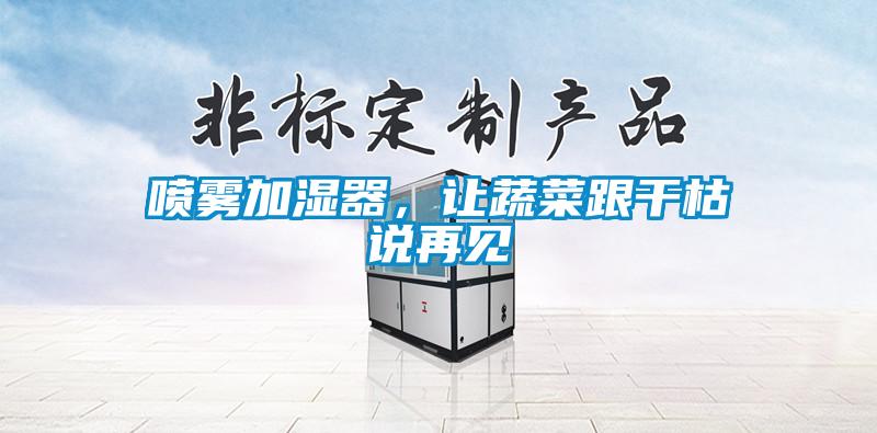 噴霧加濕器，讓蔬菜跟干枯說再見