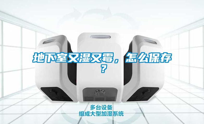 地下室又濕又霉，怎么保存？