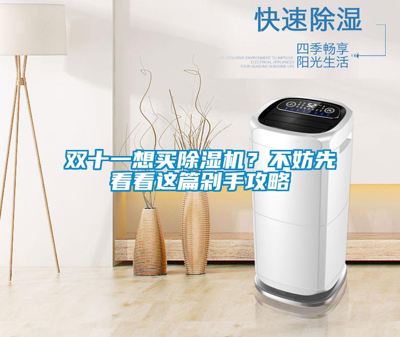 雙十一想買除濕機(jī)？不妨先看看這篇剁手攻略
