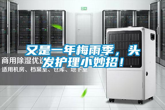 又是一年梅雨季，頭發(fā)護(hù)理小妙招！