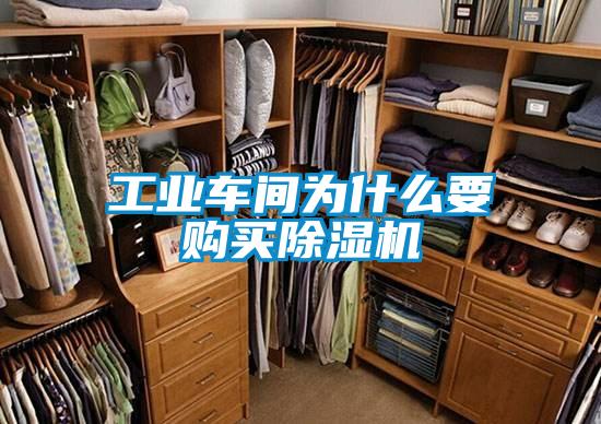工業(yè)車間為什么要購買除濕機