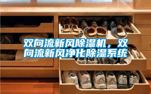 雙向流新風(fēng)除濕機(jī)，雙向流新風(fēng)凈化除濕系統(tǒng)