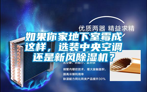 如果你家地下室霉成這樣，選裝中央空調(diào)還是新風(fēng)除濕機(jī)？