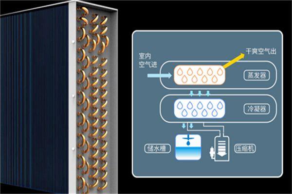 升溫除濕機可以烘干辣椒達到長時間存儲