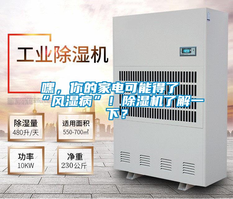 嘿，你的家電可能得了“風(fēng)濕病”！除濕機(jī)了解一下？