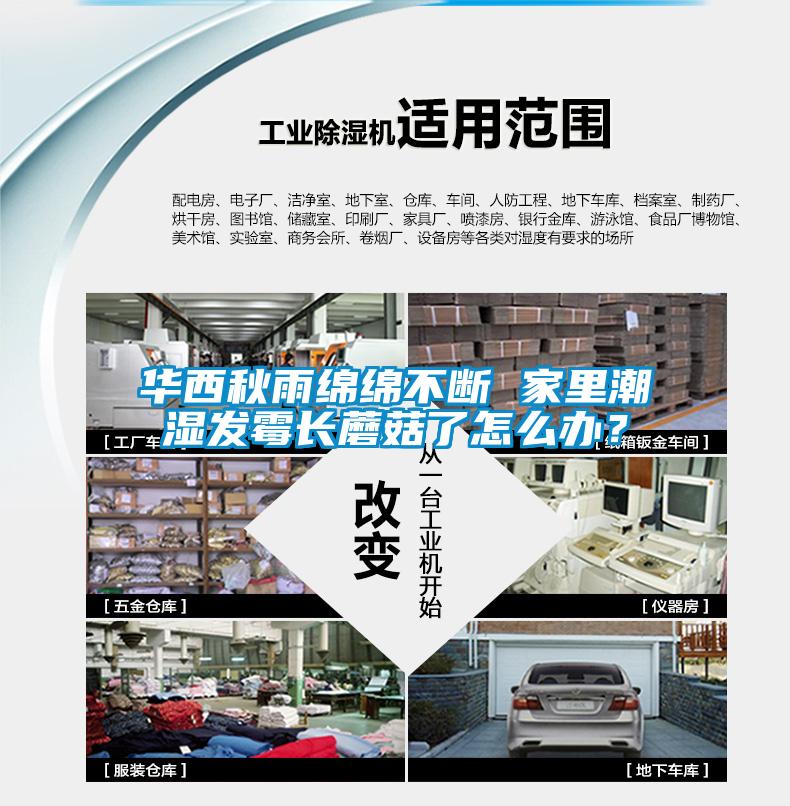 華西秋雨綿綿不斷 家里潮濕發(fā)霉長蘑菇了怎么辦？