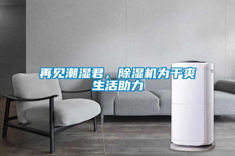 再見潮濕君，除濕機為干爽生活助力
