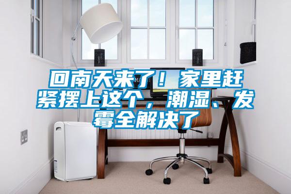 回南天來了！家里趕緊擺上這個，潮濕、發(fā)霉全解決了