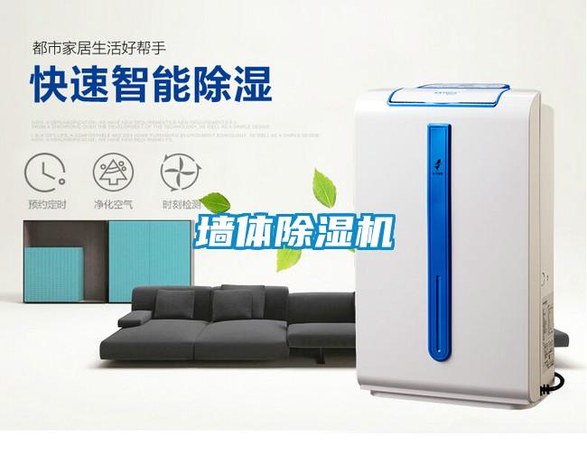 墻體除濕機