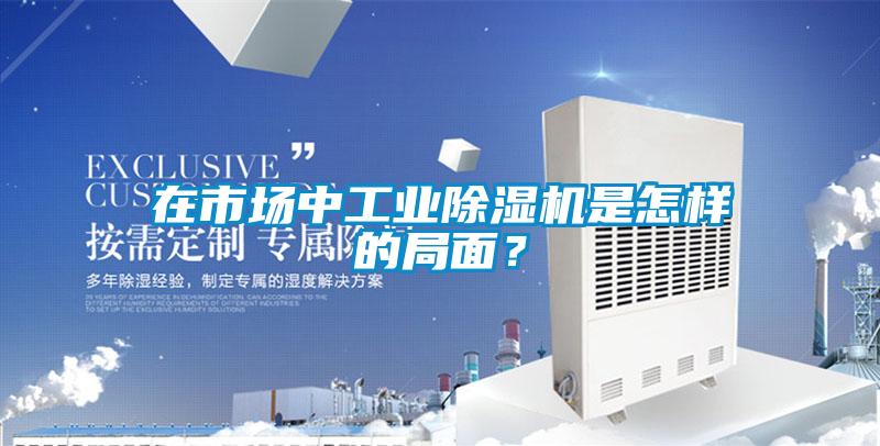 在市場中工業(yè)除濕機是怎樣的局面？