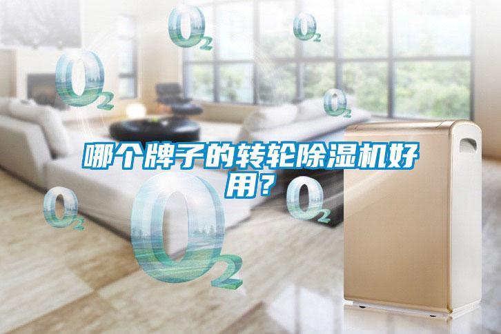 哪個牌子的轉(zhuǎn)輪除濕機好用？
