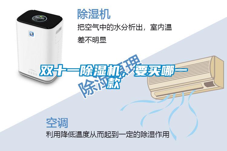 雙十一除濕機(jī)，要買哪一款