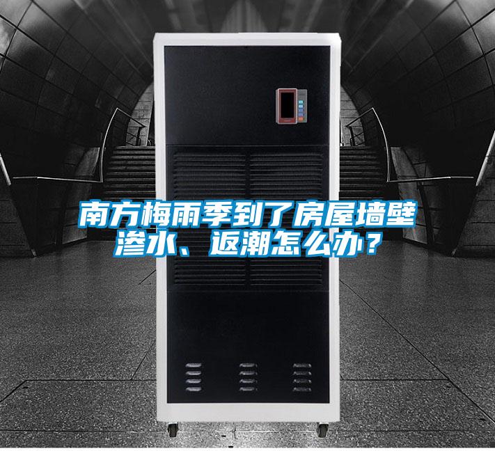 南方梅雨季到了房屋墻壁滲水、返潮怎么辦？