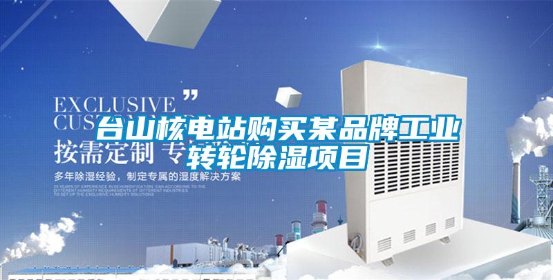 臺(tái)山核電站購(gòu)買某品牌工業(yè)轉(zhuǎn)輪除濕項(xiàng)目