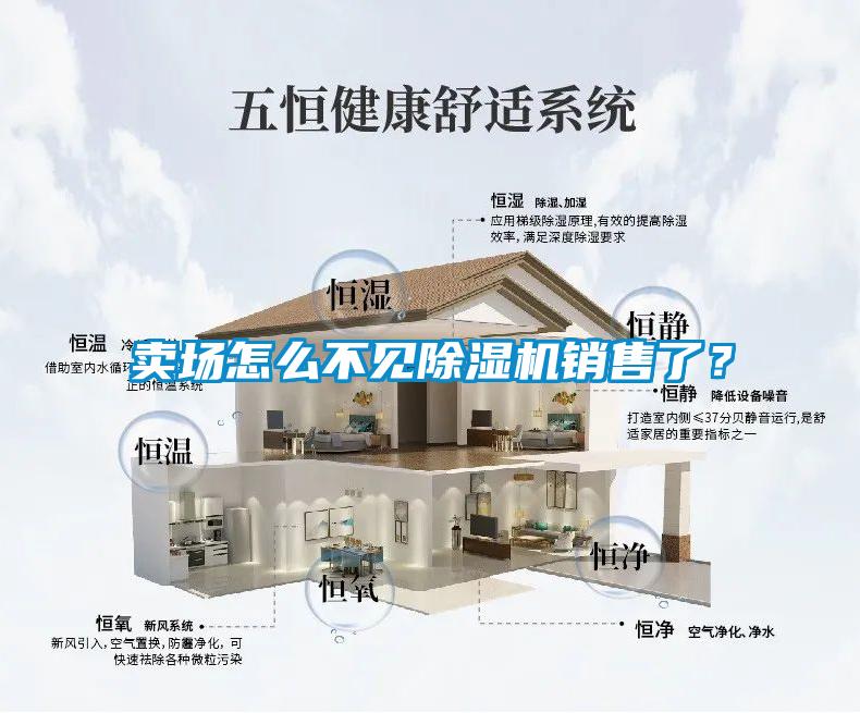 賣場怎么不見除濕機銷售了？