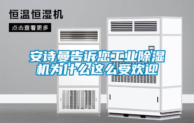 安詩(shī)曼告訴您工業(yè)除濕機(jī)為什么這么受歡迎