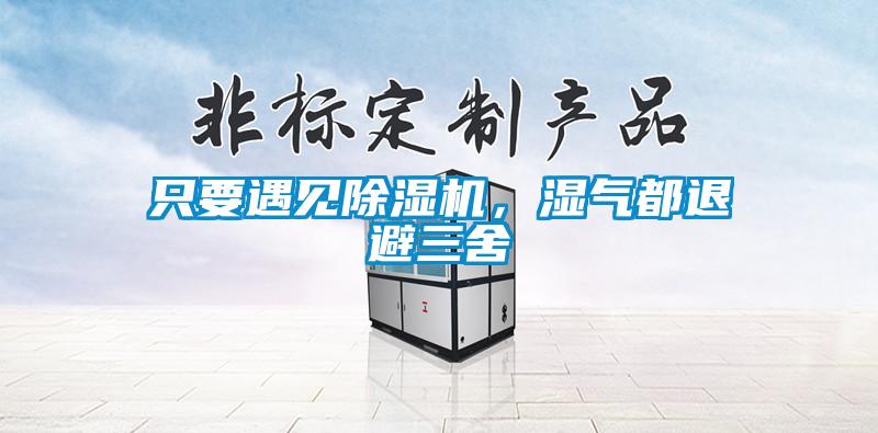 只要遇見除濕機，濕氣都退避三舍