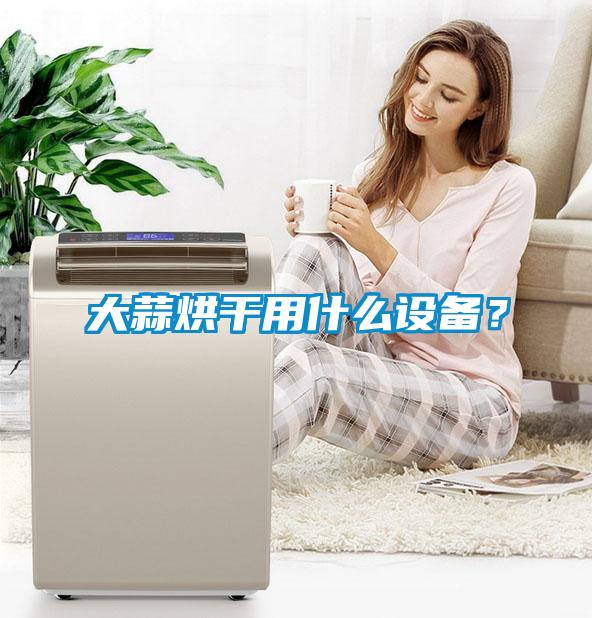大蒜烘干用什么設(shè)備？