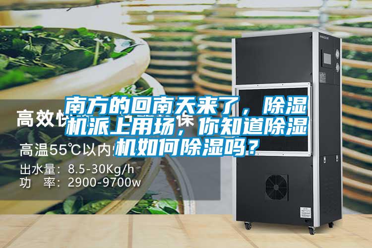 南方的回南天來(lái)了，除濕機(jī)派上用場(chǎng)，你知道除濕機(jī)如何除濕嗎？