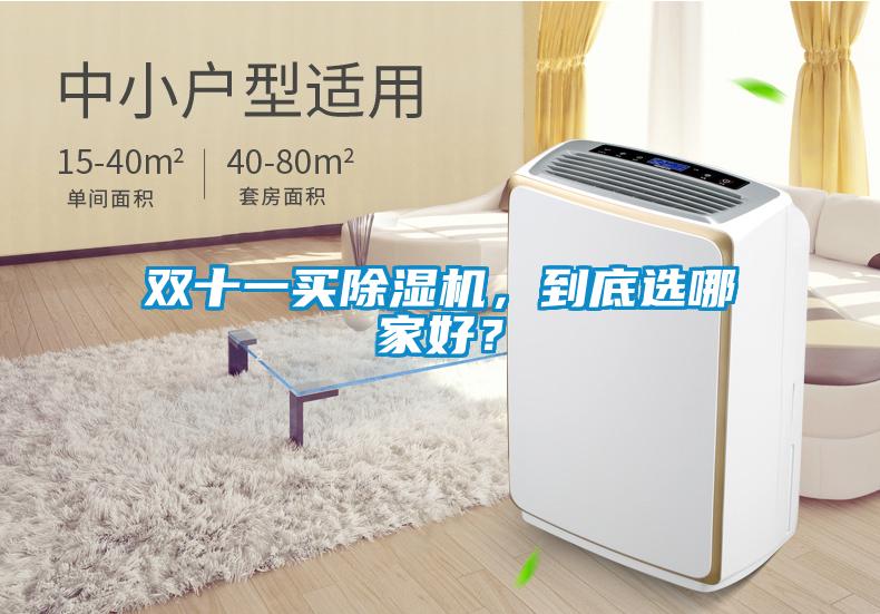 雙十一買除濕機，到底選哪家好？