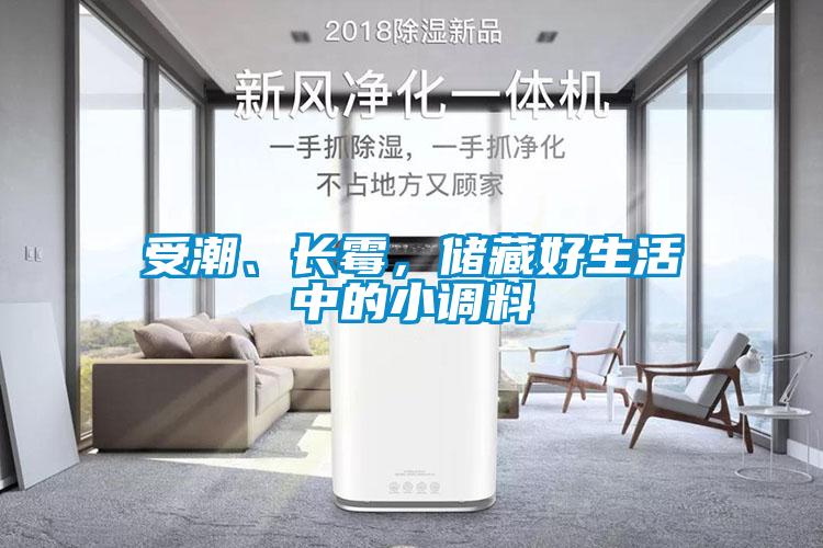 受潮、長霉,儲藏好生活中的小調(diào)料