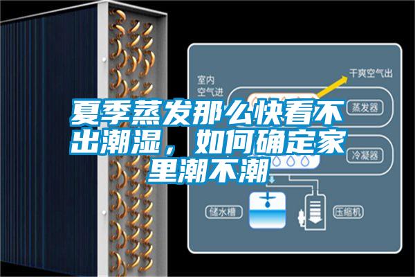 夏季蒸發(fā)那么快看不出潮濕，如何確定家里潮不潮