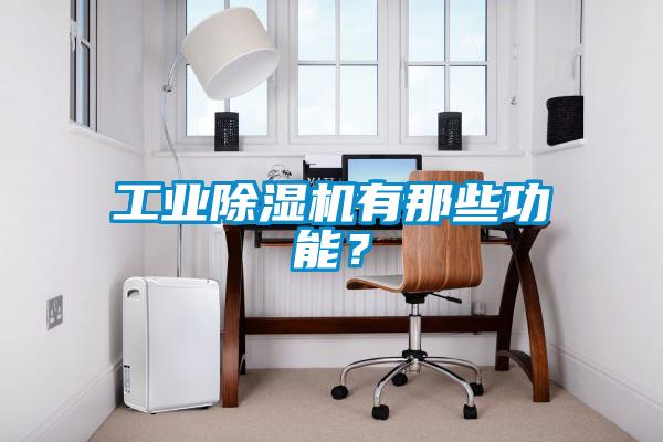工業(yè)除濕機有那些功能？