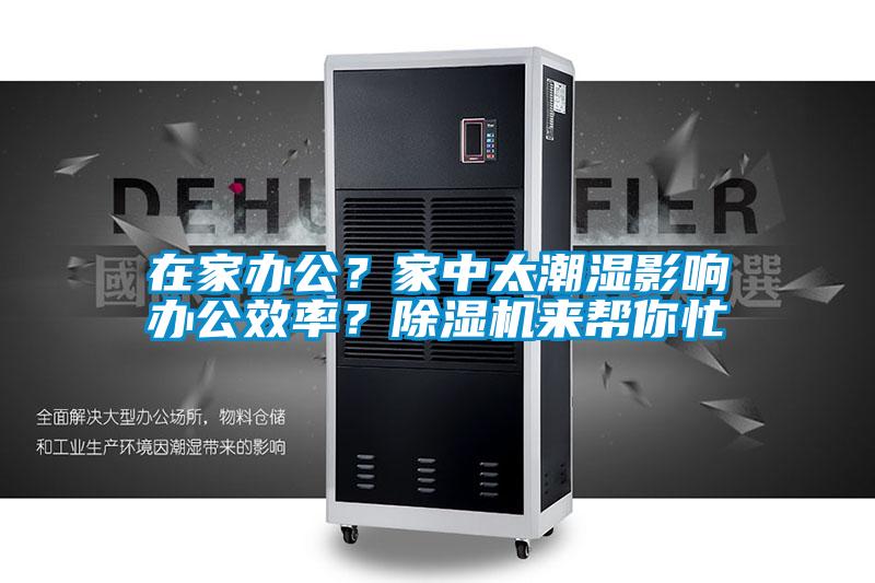 在家辦公？家中太潮濕影響辦公效率？除濕機(jī)來(lái)幫你忙