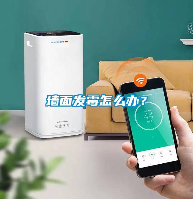 墻面發(fā)霉怎么辦？