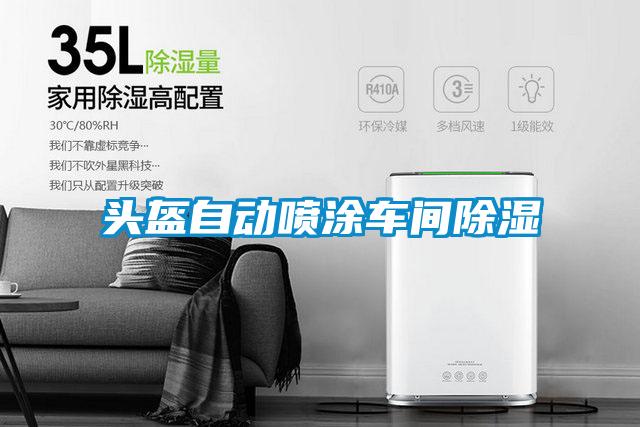 頭盔自動(dòng)噴涂車間除濕