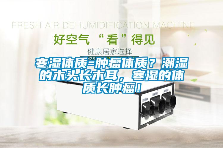 寒濕體質(zhì)=腫瘤體質(zhì)？潮濕的木頭長木耳，寒濕的體質(zhì)長腫瘤！