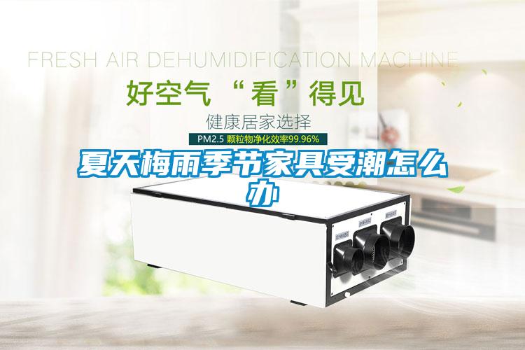 夏天梅雨季節(jié)家具受潮怎么辦