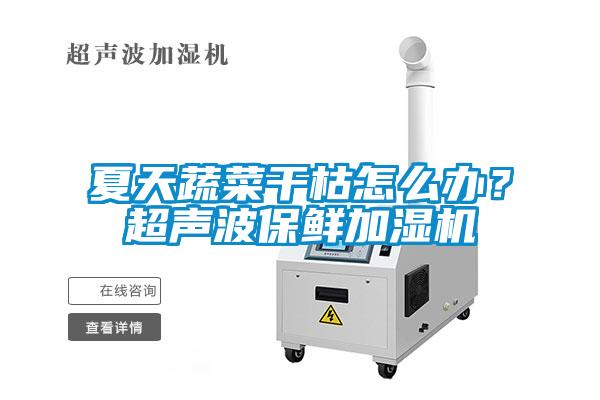 夏天蔬菜干枯怎么辦？超聲波保鮮加濕機
