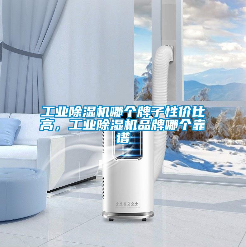工業(yè)除濕機哪個牌子性價比高，工業(yè)除濕機品牌哪個靠譜