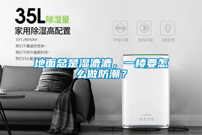 地面總是濕漉漉，一樓要怎么做防潮？