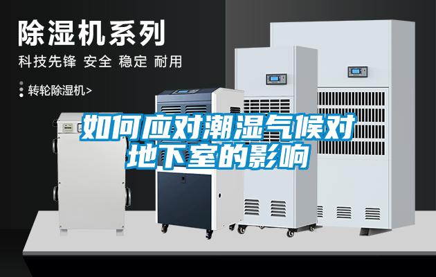 如何應(yīng)對潮濕氣候?qū)Φ叵率业挠绊?/></p>
<p style=