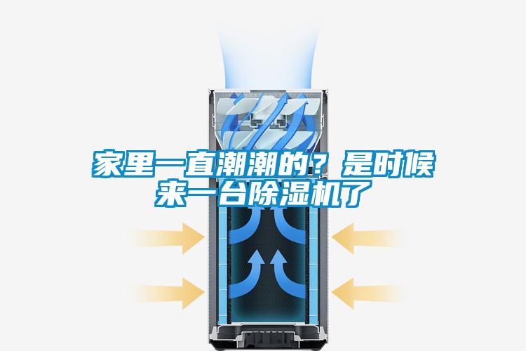 家里一直潮潮的？是時候來一臺除濕機了