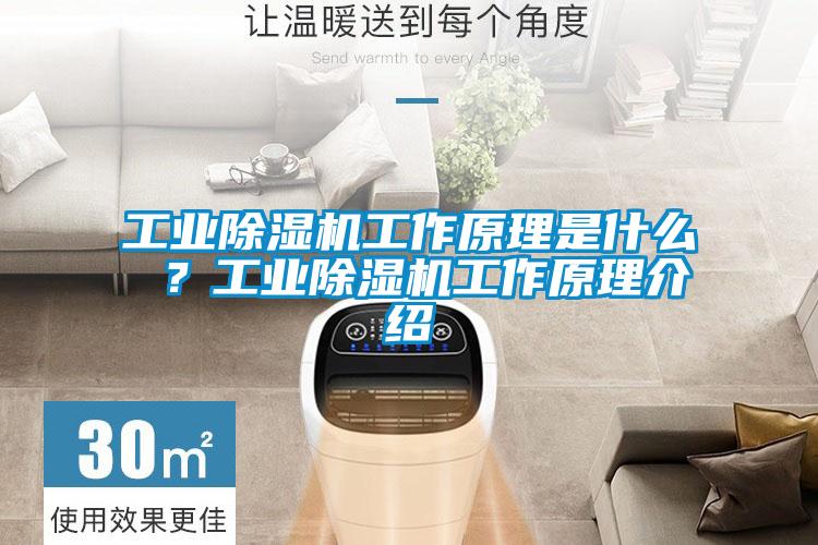 工業(yè)除濕機工作原理是什么 ？工業(yè)除濕機工作原理介紹